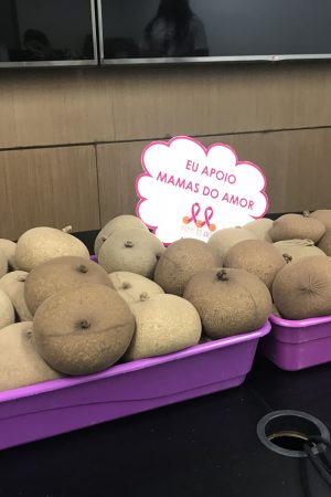 Prótese Externa: Mama do Amor